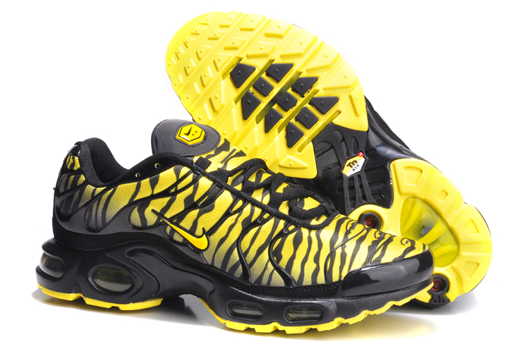 tn requin taille 35,cybergym.com.br